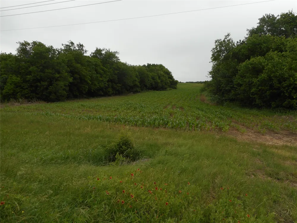 Fm 619 Road Taylor, TX 76574
