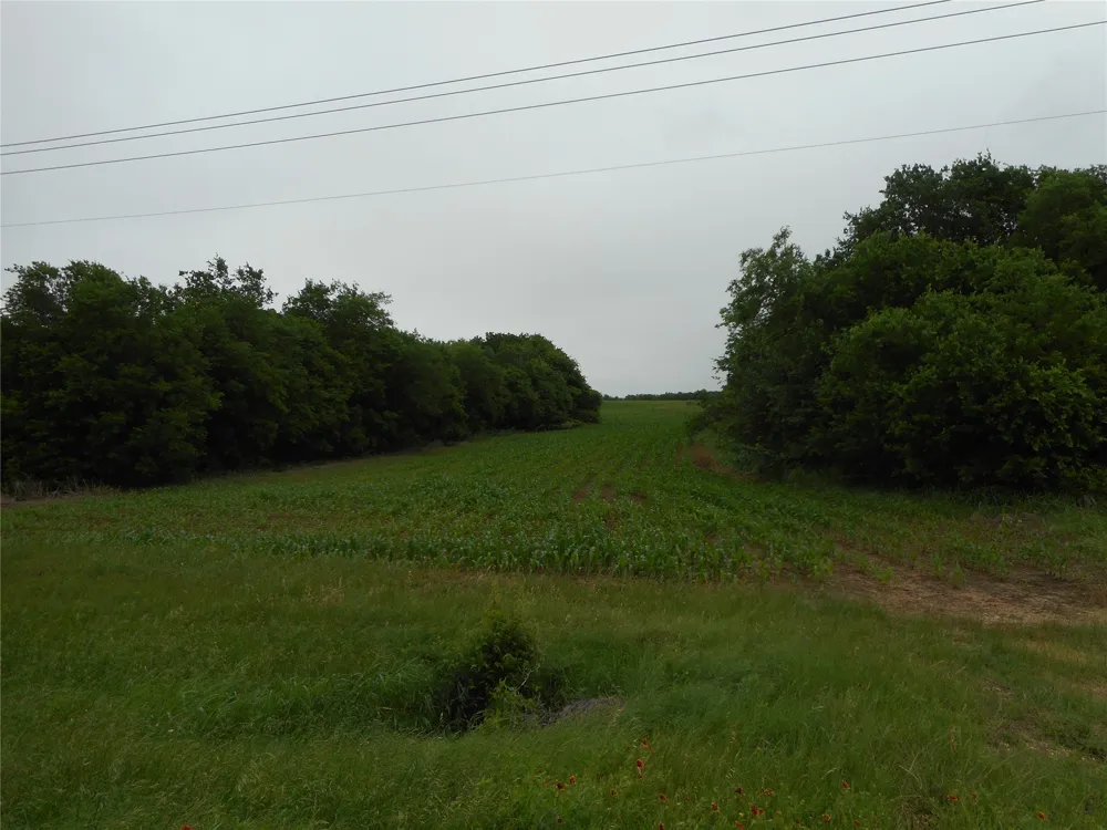 Fm 619 Road Taylor, TX 76574