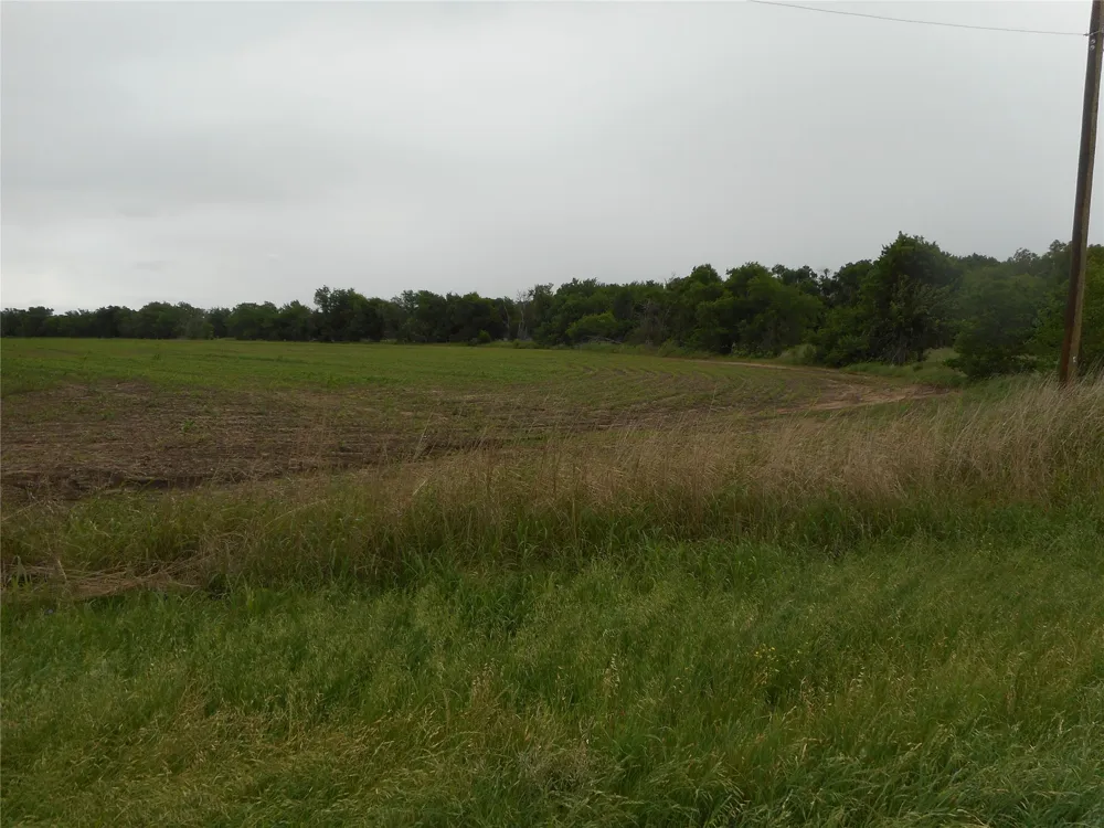 Fm 619 Road Taylor, TX 76574