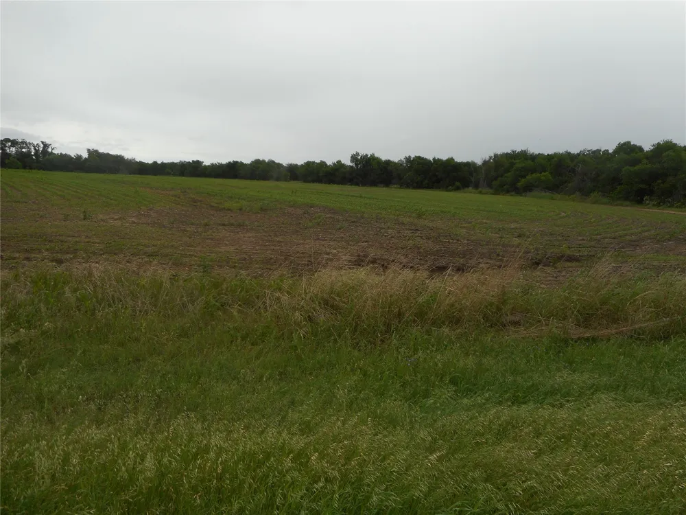 Fm 619 Road Taylor, TX 76574