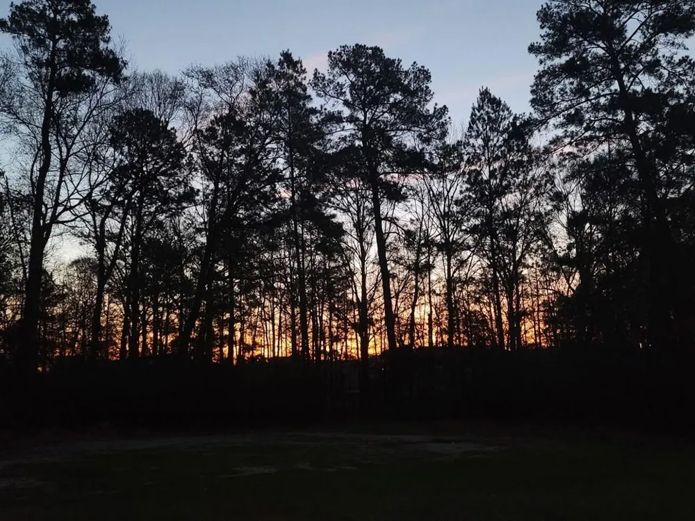 115 Lake Crest Drive Etoile, TX 75944