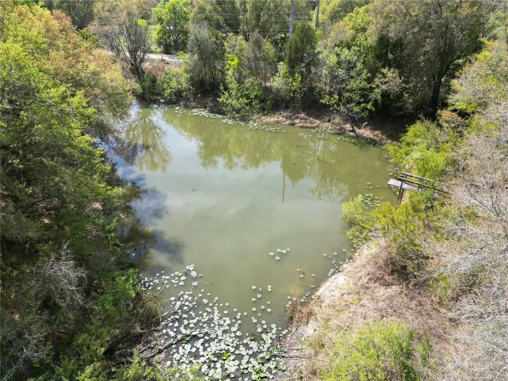 3095 COUNTY ROAD 202 Oxford, FL 34484