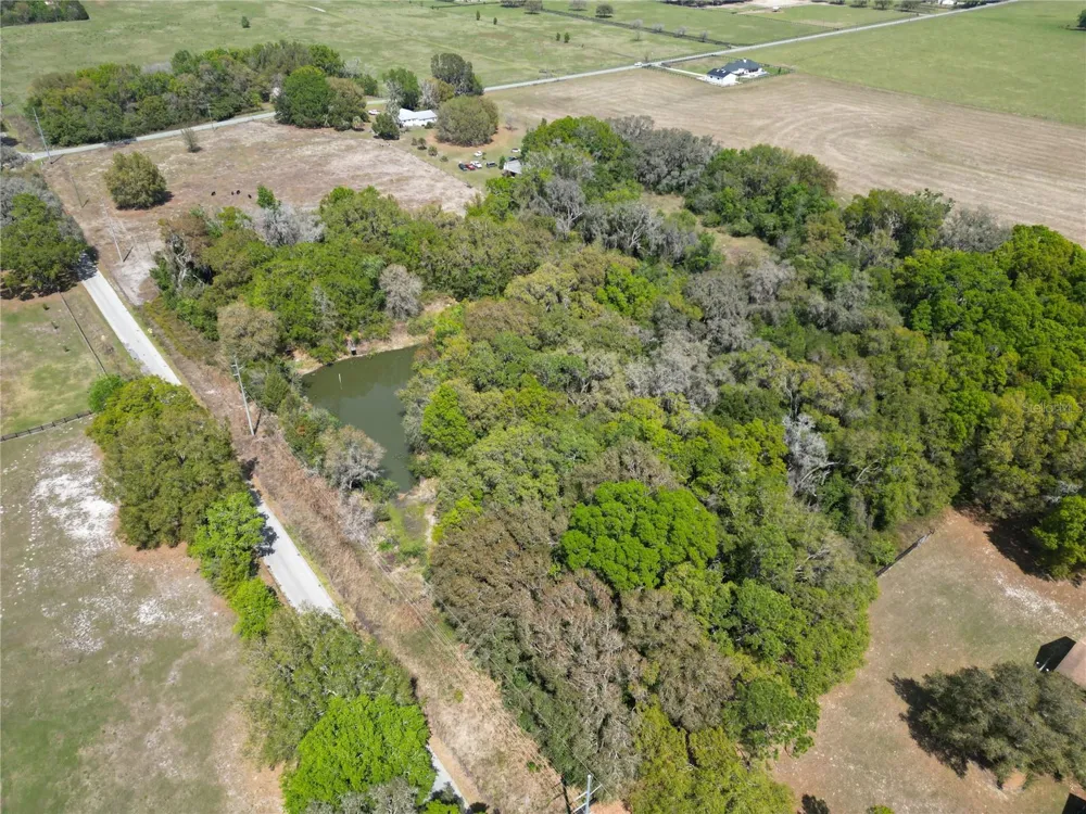 3095 COUNTY ROAD 202 Oxford, FL 34484
