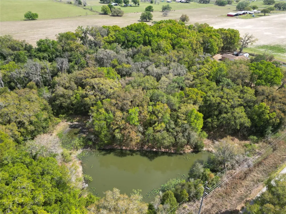 3095 COUNTY ROAD 202 Oxford, FL 34484
