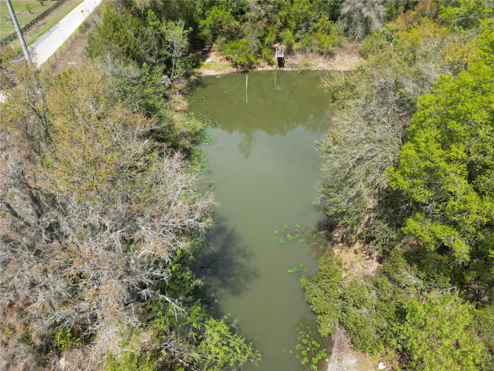 3095 COUNTY ROAD 202 Oxford, FL 34484