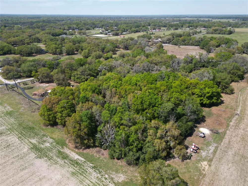 3095 COUNTY ROAD 202 Oxford, FL 34484