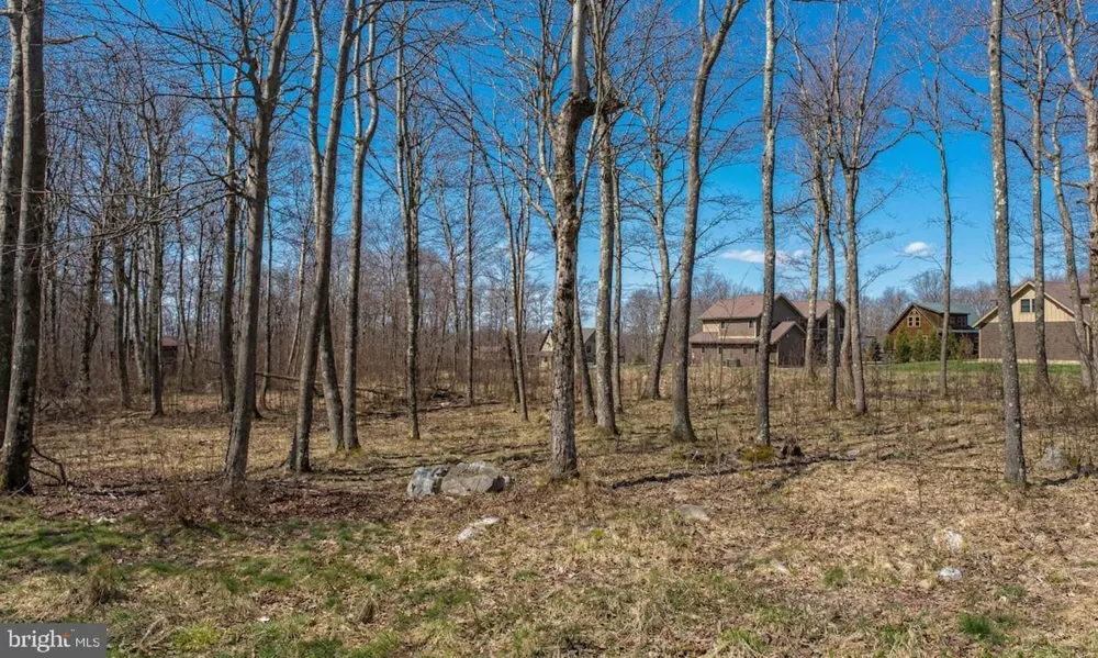 BILTMORE RIDGE TRAIL Mc Henry, MD 21541