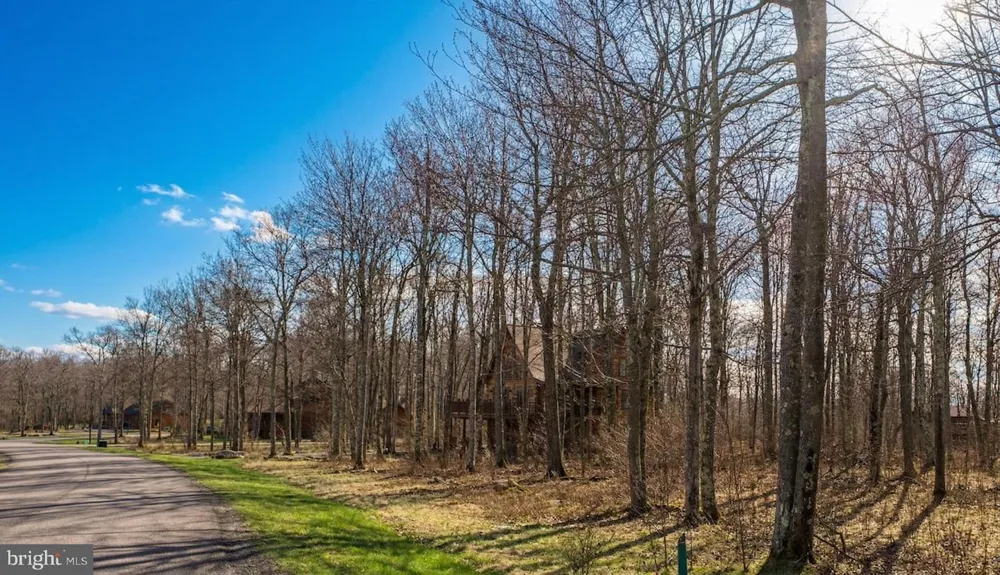BILTMORE RIDGE TRAIL Mc Henry, MD 21541
