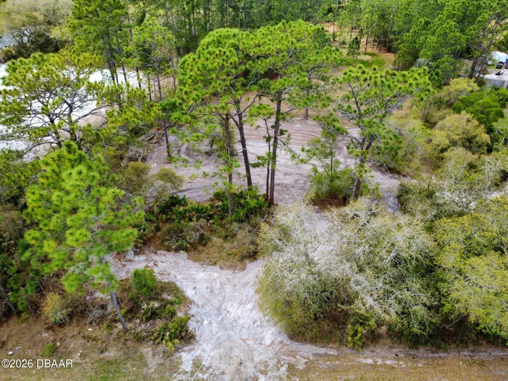 Royal Trails Road Eustis, FL 32726
