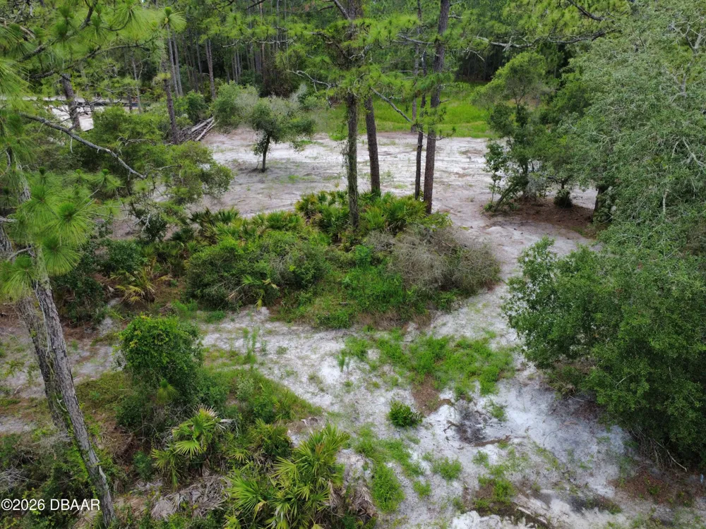 Royal Trails Road Eustis, FL 32726