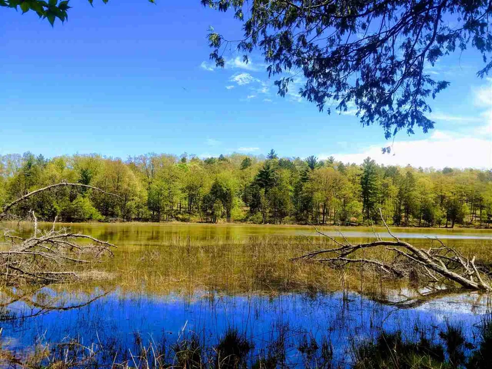 4972 Truax Lake Road Whitewater Township, MI 49690