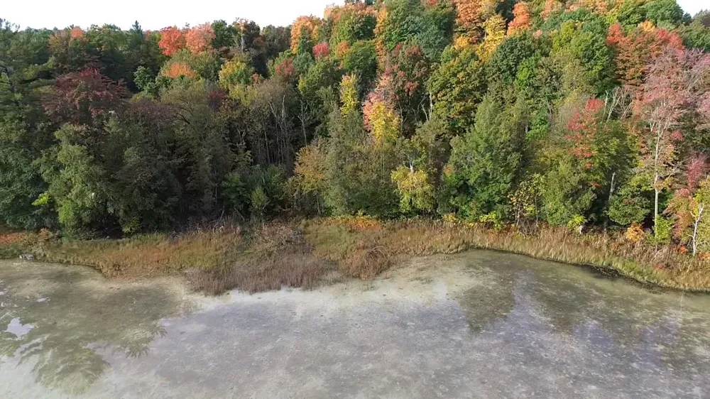 4972 Truax Lake Road Whitewater Township, MI 49690