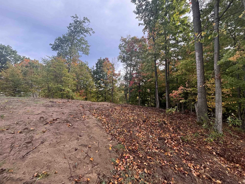 4972 Truax Lake Road Whitewater Township, MI 49690