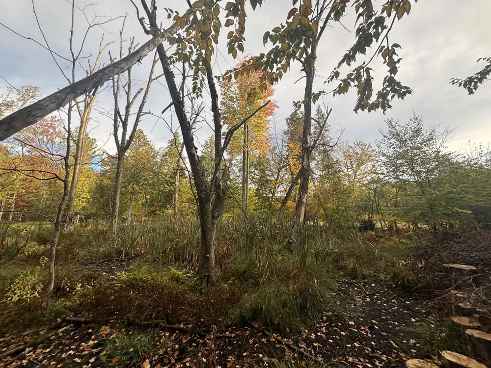 4972 Truax Lake Road Whitewater Township, MI 49690