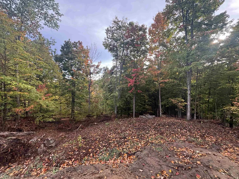 4972 Truax Lake Road Whitewater Township, MI 49690