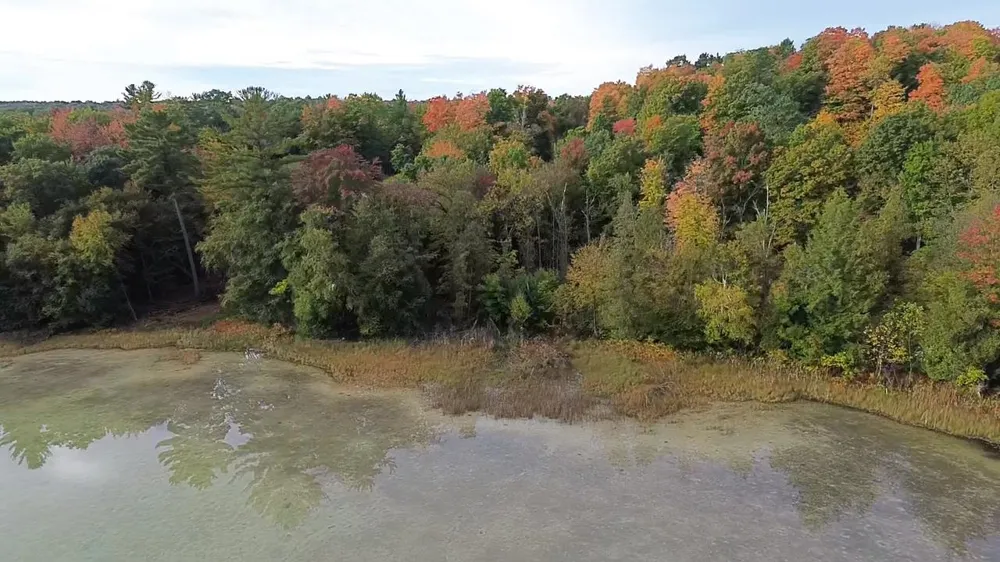 4972 Truax Lake Road Whitewater Township, MI 49690