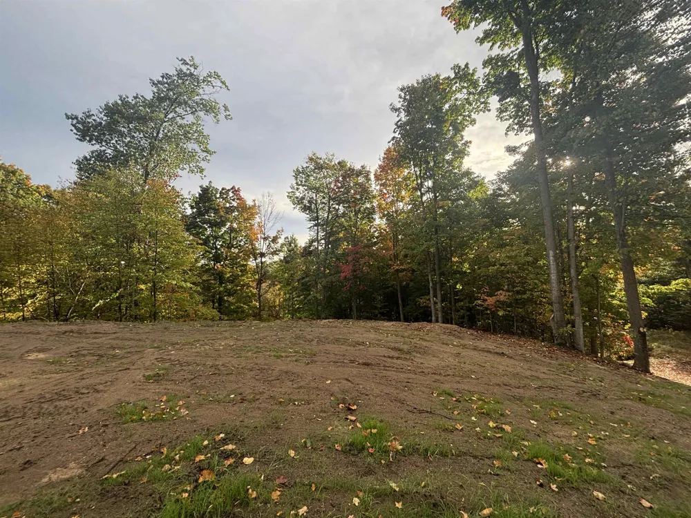 4972 Truax Lake Road Whitewater Township, MI 49690