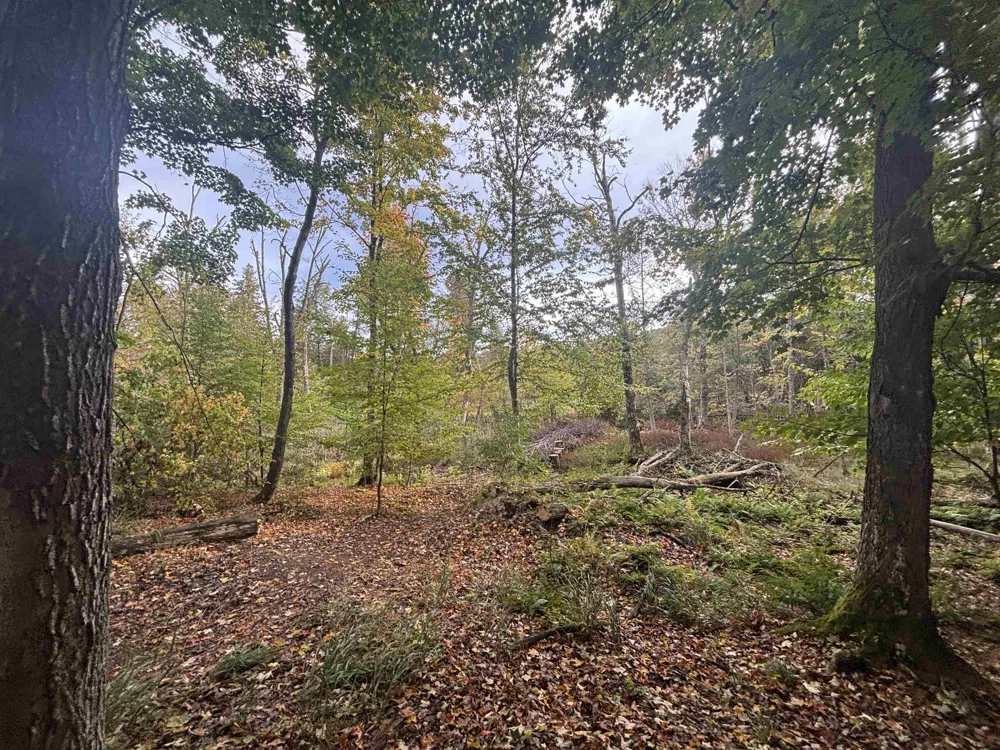 4972 Truax Lake Road Whitewater Township, MI 49690
