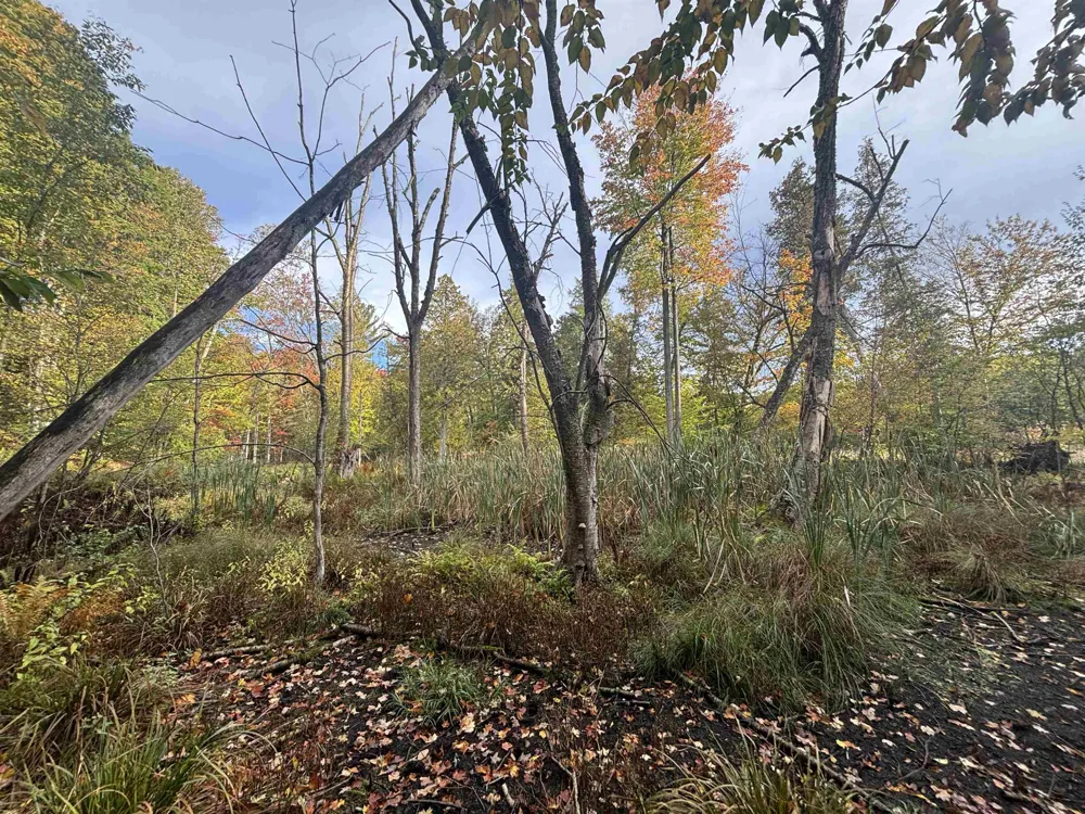 4972 Truax Lake Road Whitewater Township, MI 49690