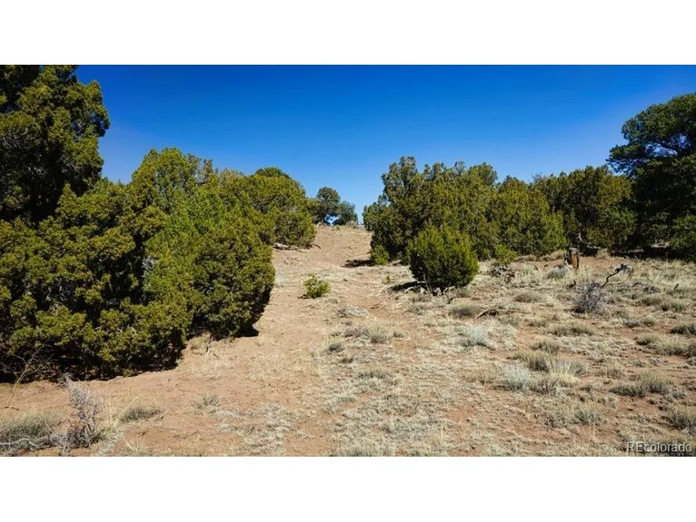 127 Navajo Ranch Resorts Walsenburg, CO 81089