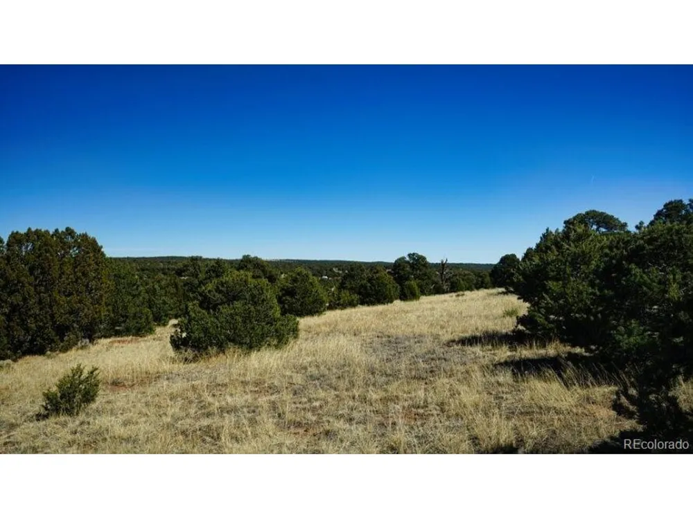 127 Navajo Ranch Resorts Walsenburg, CO 81089