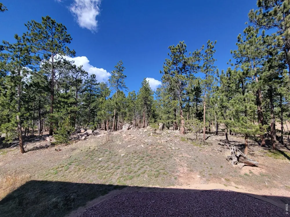 2225 County Road 73c Red Feather Lakes, CO 80545