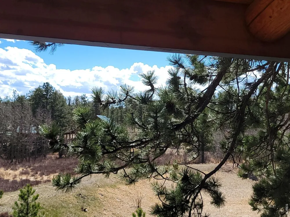2225 County Road 73c Red Feather Lakes, CO 80545