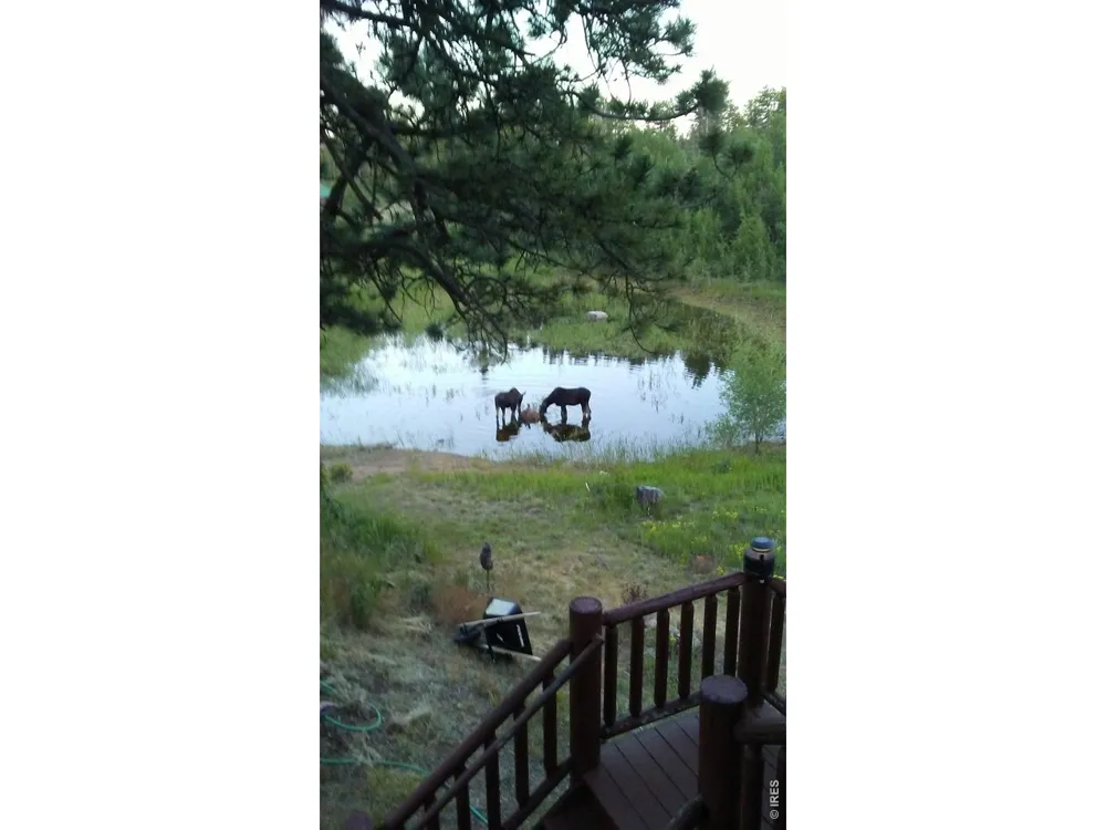 2225 County Road 73c Red Feather Lakes, CO 80545