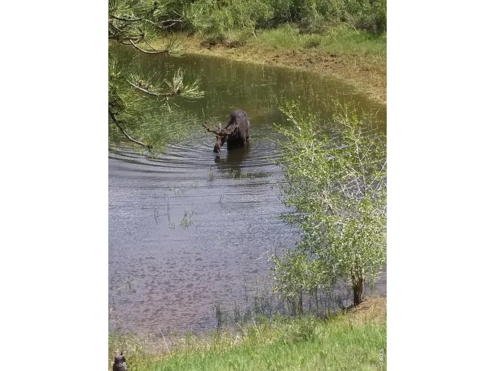 2225 County Road 73c Red Feather Lakes, CO 80545