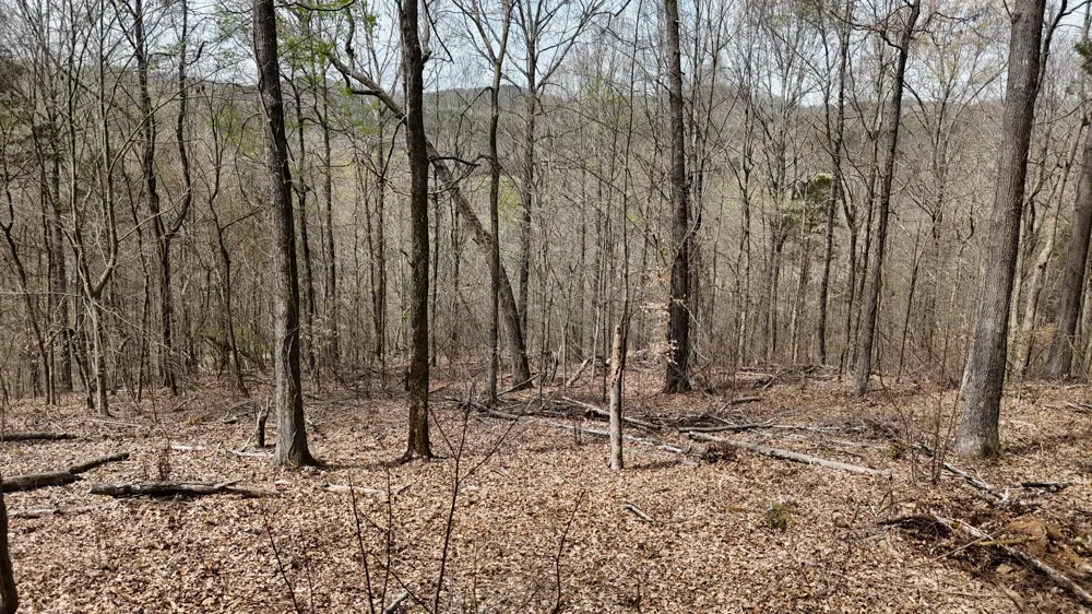 Geren Subdivision Lane Decatur, TN 37322
