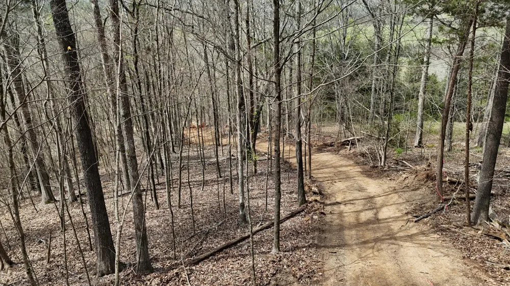 Geren Subdivision Lane Decatur, TN 37322