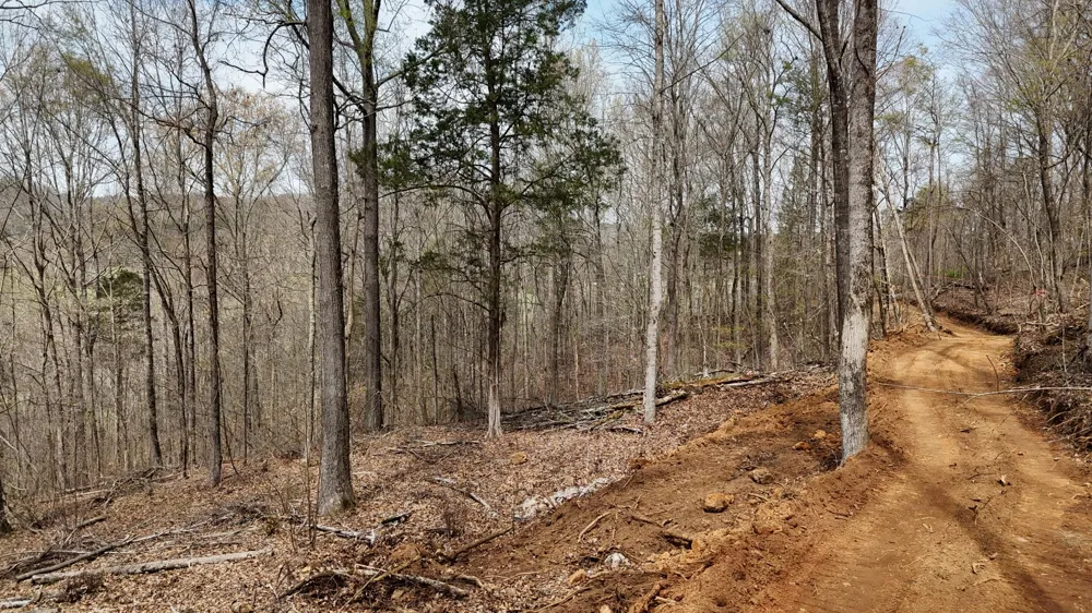 Geren Subdivision Lane Decatur, TN 37322