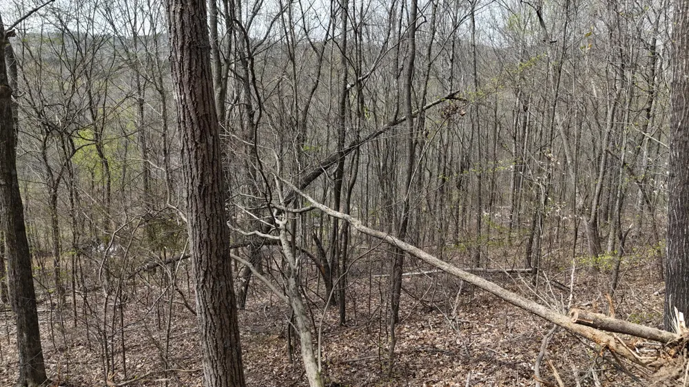 Geren Subdivision Lane Decatur, TN 37322