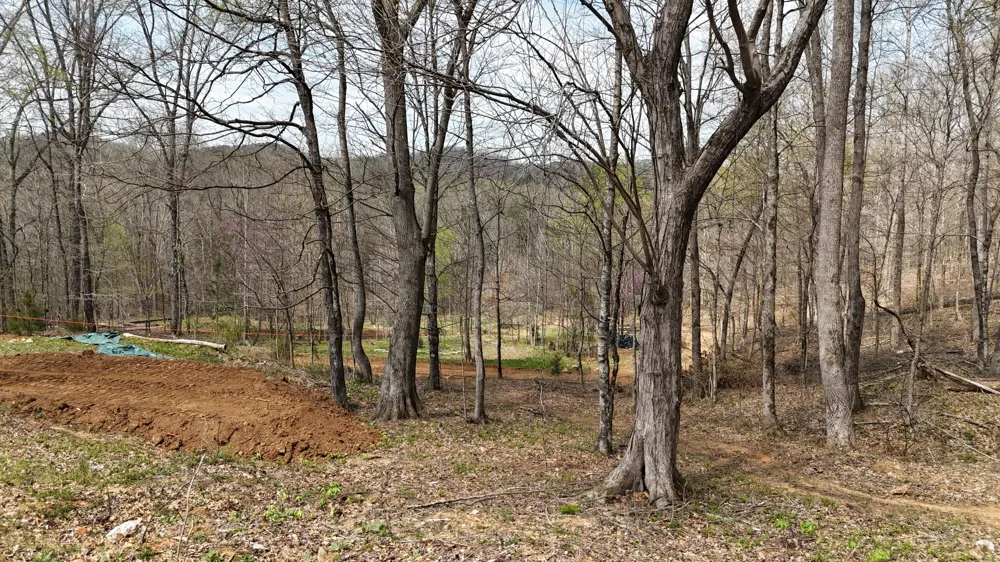Geren Subdivision Lane Decatur, TN 37322