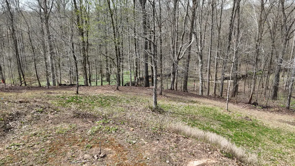 Geren Subdivision Lane Decatur, TN 37322