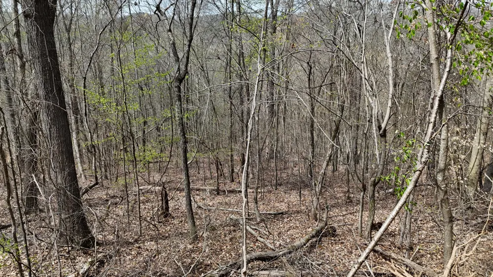 Geren Subdivision Lane Decatur, TN 37322