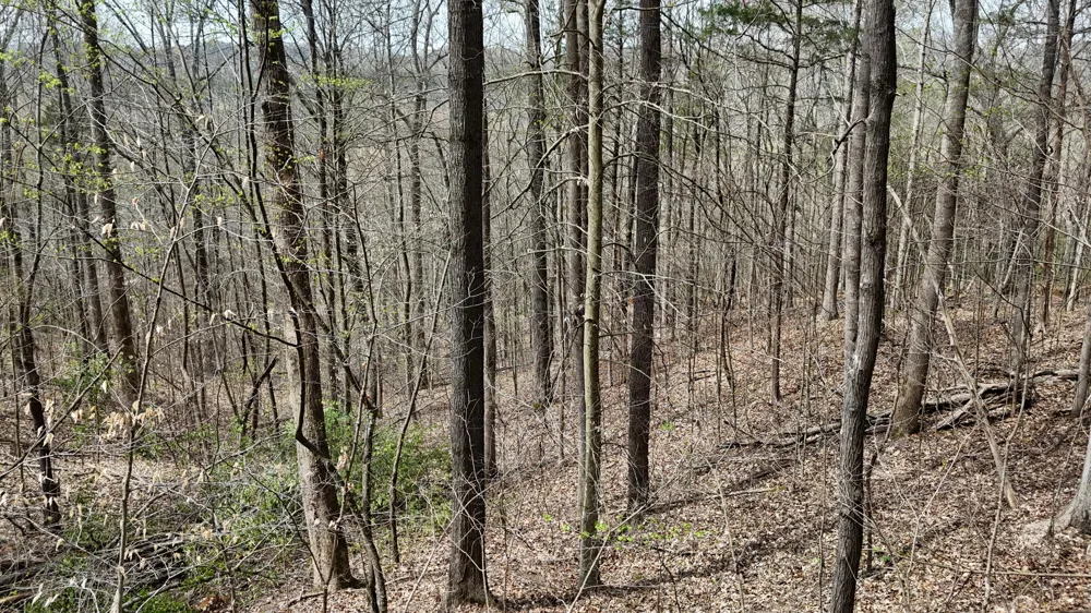 Geren Subdivision Lane Decatur, TN 37322