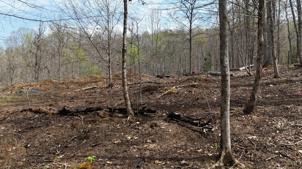 Geren Subdivision Lane Decatur, TN 37322