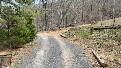 561 Geren Subdivision Lane