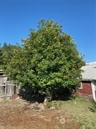 200 E Arizona Avenue Roslyn, WA 98941