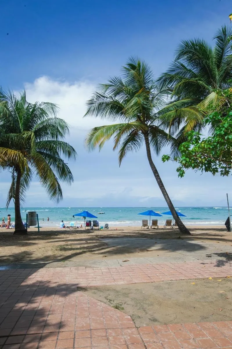 6165 AV, ISLA VERDE #669 Carolina, PR 00979