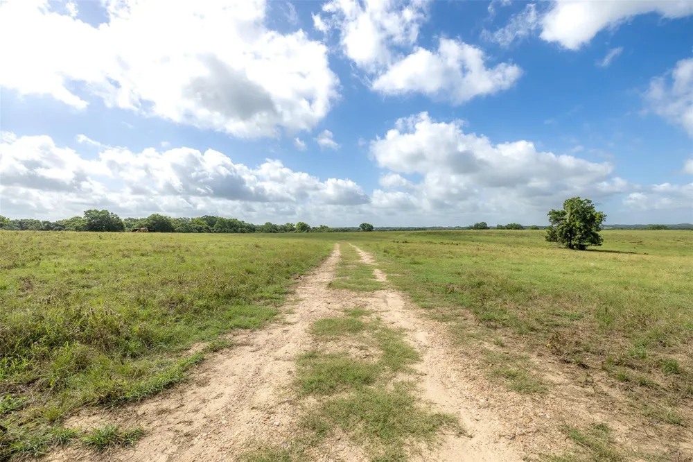6550 Gibbs Creek Road Chappell Hill, TX 77426