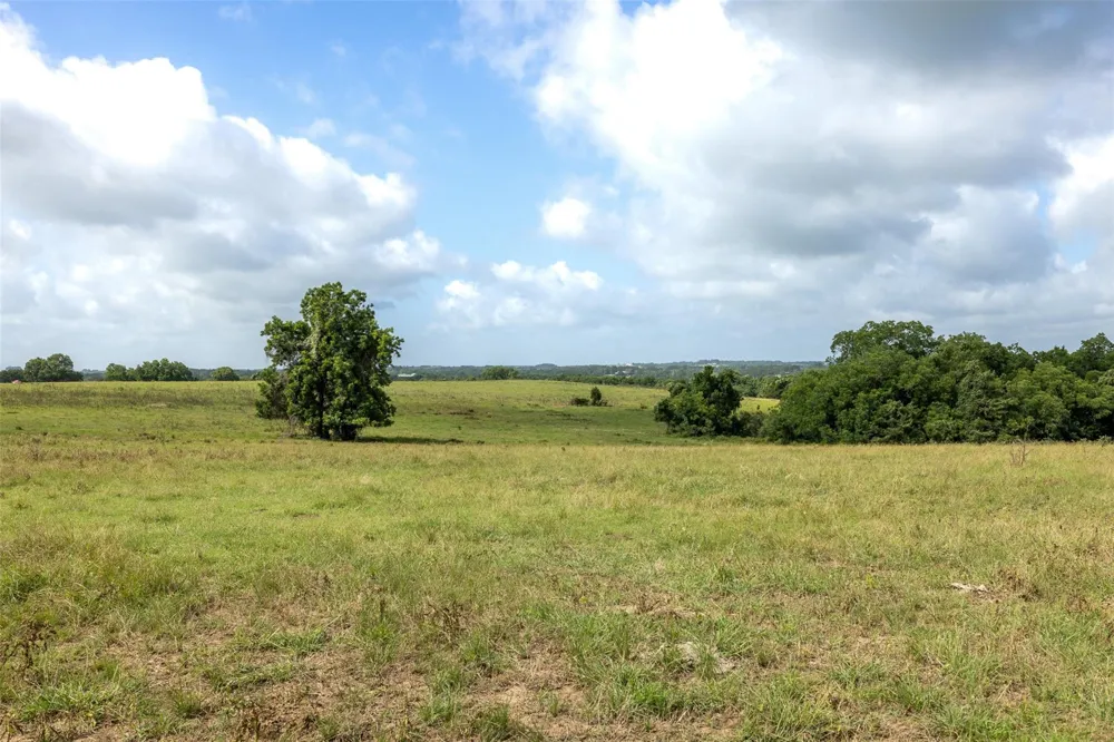 6550 Gibbs Creek Road Chappell Hill, TX 77426