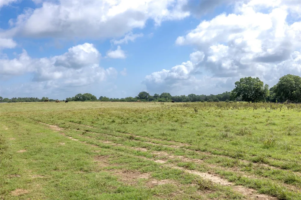 6550 Gibbs Creek Road Chappell Hill, TX 77426