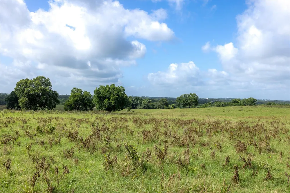 6550 Gibbs Creek Road Chappell Hill, TX 77426