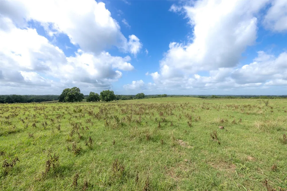 6550 Gibbs Creek Road Chappell Hill, TX 77426