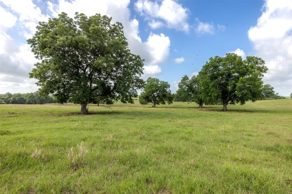 6550 Gibbs Creek Road Chappell Hill, TX 77426