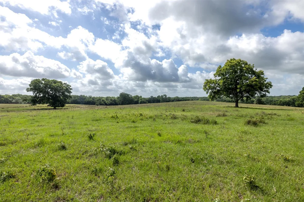 6550 Gibbs Creek Road Chappell Hill, TX 77426