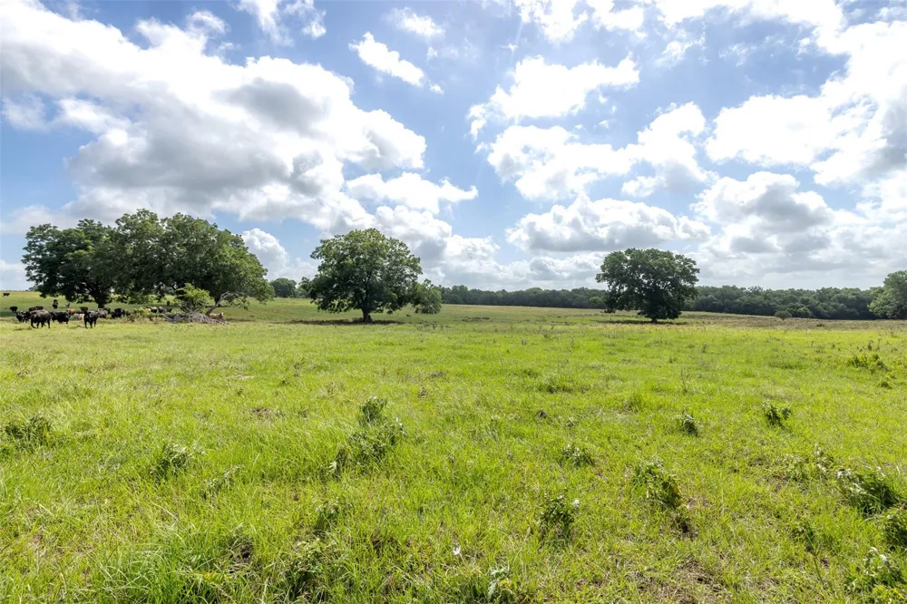 6550 Gibbs Creek Road Chappell Hill, TX 77426