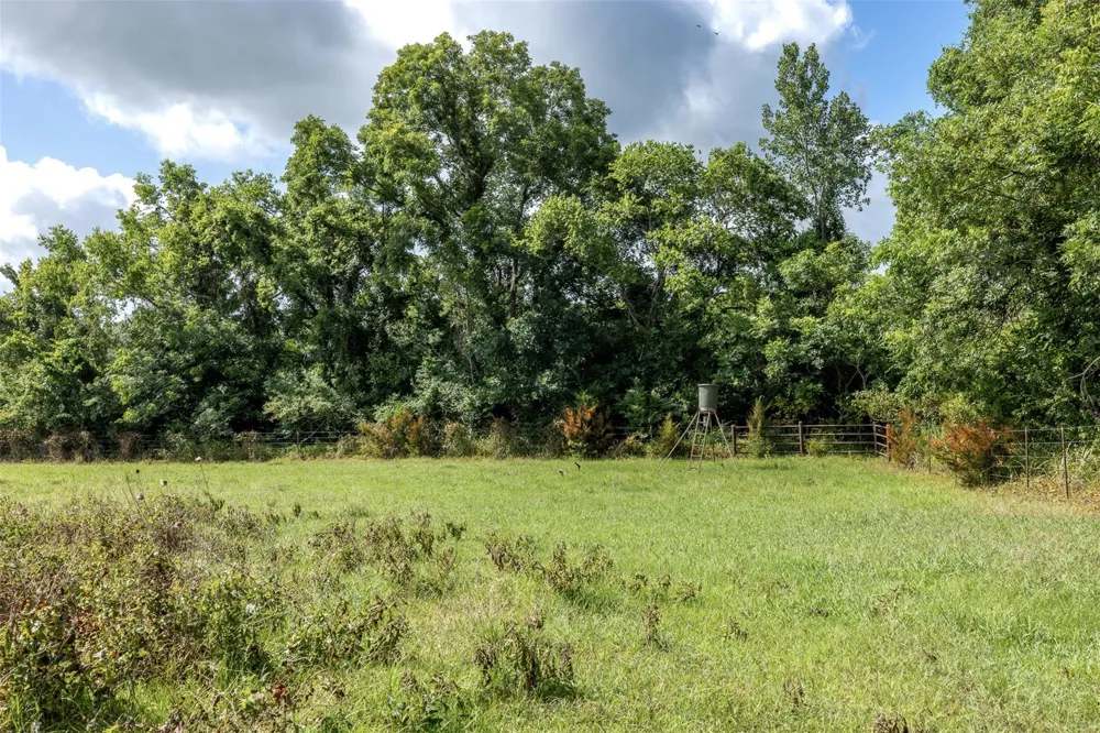 6550 Gibbs Creek Road Chappell Hill, TX 77426